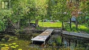 18 FIRE ROUTE 104A | Bobcaygeon Ontario | Slide Image Thirty-seven