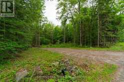 1066 UFFINGTON ROAD | Bracebridge Ontario | Slide Image Three
