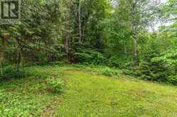 1136 SPRINGDALE SHORES PRIVATE | Bracebridge Ontario | Slide Image Twenty