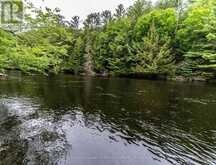1136 SPRINGDALE SHORES PRIVATE | Bracebridge Ontario | Slide Image Three