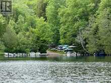 0 ISLAND LAKE ROAD | Kearney Ontario | Slide Image Thirty-two