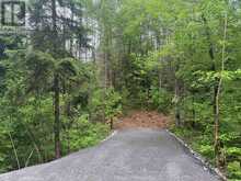 1313 WILLIAMSPORT ROAD N | Huntsville Ontario | Slide Image Four