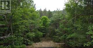 1313 WILLIAMSPORT ROAD N | Huntsville Ontario | Slide Image Seven