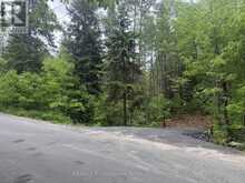 1313 WILLIAMSPORT ROAD N | Huntsville Ontario | Slide Image Eight