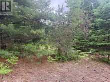 1313 WILLIAMSPORT ROAD N | Huntsville Ontario | Slide Image Nine