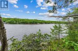 3228 TWELVE MILE BAY ROAD | MacTier Ontario | Slide Image Thirty-seven