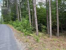 1333 WILLIAMSPORT ROAD N | Huntsville Ontario | Slide Image Twelve