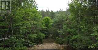 1333 WILLIAMSPORT ROAD N | Huntsville Ontario | Slide Image Three