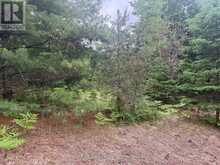 1333 WILLIAMSPORT ROAD N | Huntsville Ontario | Slide Image Four