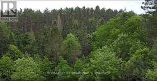 1333 WILLIAMSPORT ROAD N | Huntsville Ontario | Slide Image Nine