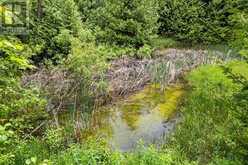 245650 22 SIDE ROAD | Meaford Ontario | Slide Image Forty-eight
