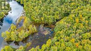 0 MUSKOKA RIVER | Bracebridge Ontario | Slide Image Twelve
