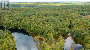 0 MUSKOKA RIVER | Bracebridge Ontario | Slide Image Thirteen