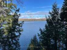 1038 BROKEN PADDLE ROAD | Haliburton Ontario | Slide Image Seven