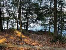 1038 BROKEN PADDLE ROAD | Haliburton Ontario | Slide Image Thirty-eight