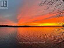 83 SUNSET BEACH ROAD | Kawartha Lakes Ontario | Slide Image Forty-four