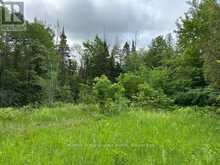 1164 RAVINE ROAD | Minden Hills Ontario | Slide Image One