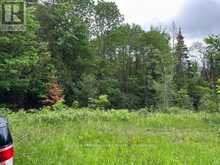 1164 RAVINE ROAD | Minden Hills Ontario | Slide Image Seven