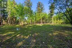 1042 SUBURBAN COURT | Minden Hills Ontario | Slide Image Eight
