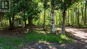 42 WARNER BAY ROAD | Tobermory Ontario | Slide Image Twenty-two