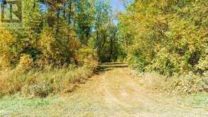 PT LT 3 LANESVILLE LINE | Ashfield-Colborne-Wawanosh Ontario | Slide Image Ten