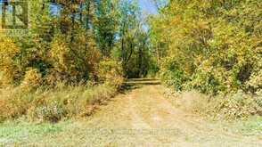 PT LT 3 LANESVILLE LINE | Ashfield-Colborne-Wawanosh Ontario | Slide Image Ten