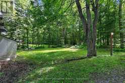 1133 SHERWOOD FOREST ROAD | Bracebridge Ontario | Slide Image Five