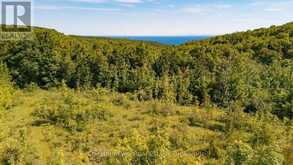 729297 21ST SIDE ROAD | The Blue Mountains Ontario | Slide Image Two