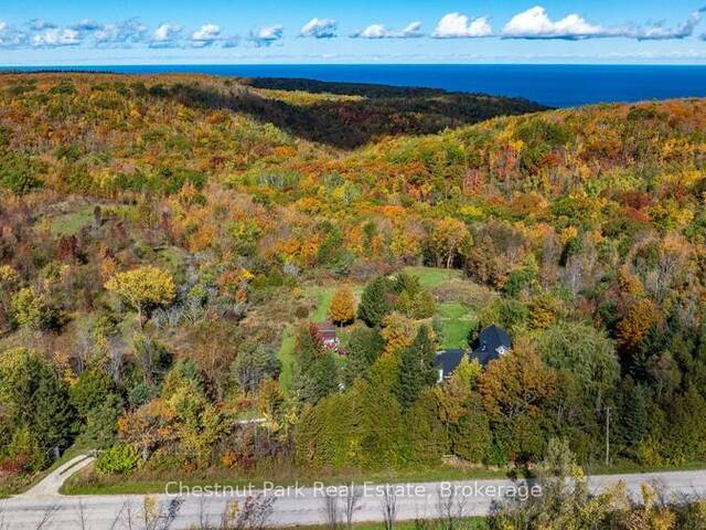 729297 21ST SIDE ROAD The Blue Mountains Ontario, N0H 1J0 - 3 Bedrooms Home For Sale