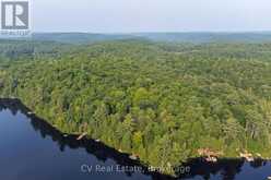 1027 NORTH PINE DRIVE | Lake of Bays Ontario | Slide Image Six