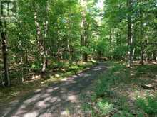 1497 FOX POINT ROAD | Dwight Ontario | Slide Image Forty-three