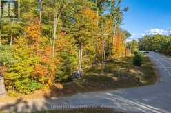3864 HIGHWAY 118 W | Port Carling Ontario | Slide Image Twenty-three