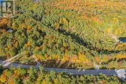 3864 HIGHWAY 118 W | Port Carling Ontario | Slide Image Four