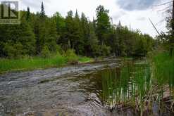 504354 GREY ROAD 12 ROAD | Markdale Ontario | Slide Image Nineteen