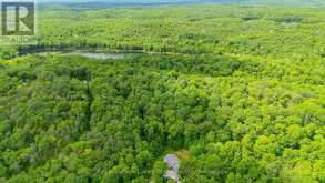 16741 HIGHWAY 118 | Haliburton Ontario | Slide Image Forty-four