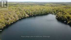 1214 LAKE LORRAINE ROAD | Highlands East Ontario | Slide Image Nine
