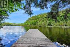 1420 MOOSE LAKE ROAD | Haliburton Ontario | Slide Image Three