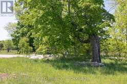 LOT 23 CON A, SIDE ROAD 23 | Meaford Ontario | Slide Image Twenty-four