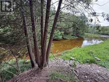 384275 CONCESSION 4 | Priceville Ontario | Slide Image Thirty-four