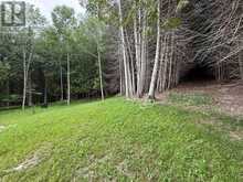 384275 CONCESSION 4 | Priceville Ontario | Slide Image Fifty
