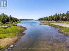 1248 DORCAS BAY ROAD | Tobermory Ontario | Slide Image Forty-one