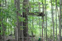 PT LT 15 CON 13 CONCESSION 14 ROAD | South Bruce Peninsula Ontario | Slide Image Eleven