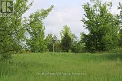PT LT 15 CON 13 CONCESSION 14 ROAD | South Bruce Peninsula Ontario | Slide Image Twelve