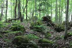 PT LT 15 CON 13 CONCESSION 14 ROAD | South Bruce Peninsula Ontario | Slide Image Sixteen