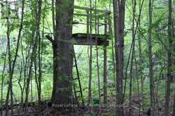 PT LT 15 CON 13 CONCESSION 14 ROAD | South Bruce Peninsula Ontario | Slide Image Seventeen
