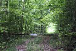 PT LT 15 CON 13 CONCESSION 14 ROAD | South Bruce Peninsula Ontario | Slide Image One