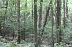 PT LT 15 CON 13 CONCESSION 14 ROAD | South Bruce Peninsula Ontario | Slide Image Three