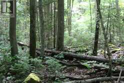 PT LT 15 CON 13 CONCESSION 14 ROAD | South Bruce Peninsula Ontario | Slide Image Four
