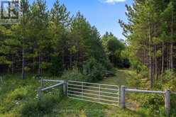 574461 SIDEROAD 40 | Markdale Ontario | Slide Image Thirty-two