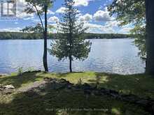 247 BIG ISLAND BEL LK E | Havelock-Belmont-Methuen Ontario | Slide Image Five